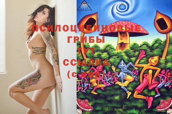 ECSTASY Балабаново