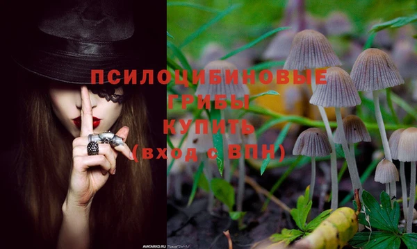 ECSTASY Балабаново