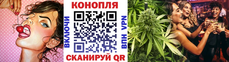 Бошки Шишки конопля  kraken как войти  Туран 